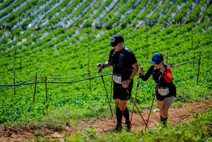 BIB: 2245, 2242
                            <button type="button" onclick="openModal(19164561)" class="btn btn-primary btn-sm float-right btn-popup" data-toggle="modal" data-target=".modal-high-quality">
                        <i class="fas fa-shopping-cart"></i> Add to Cart
                    </button>
                                            <button type="button" onclick="isThisMe(19164561, true)" class="btn btn-success btn-sm float-right btn-popup btn-isme hidden" data-toggle="tooltip" data-placement="bottom" title="นี่คือรูปของคุณใช่ไหม คลิกที่นี่เพื่อเอาเข้าอัลบั้ม">
                        <i class="fas fa-plus"></i> Add to album
                    </button>
                    <button type="button" onclick="isThisMe(19164561, false)" class="btn btn-warning btn-sm float-right btn-popup btn-isnotme hidden">
                        <i class="fas fa-ban"></i> Remove from album
                    </button>